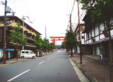 神宮道　整備前